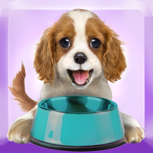 Feed A Puppy icon