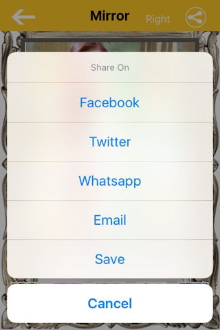 Mirror My Photo screenshot 2