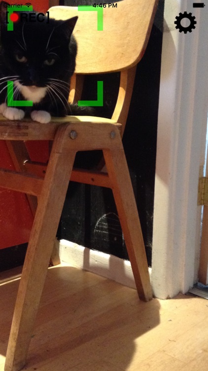 Motion Detector Cam