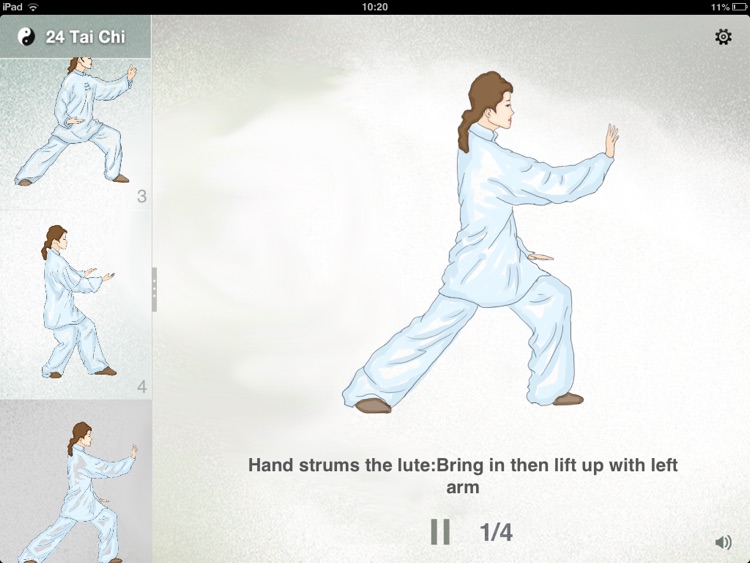 Tai Chi 24 Forms Lite