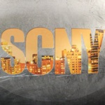 Safe Connect NY SafecoNY