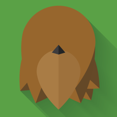 Activities of Chewbaccapp