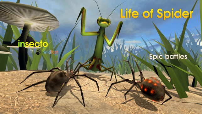 Life Of Spider