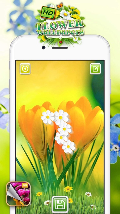 HD Flower Wallpaper.s – Beautiful Floral Themes and Custom Lock Sreen Background.s