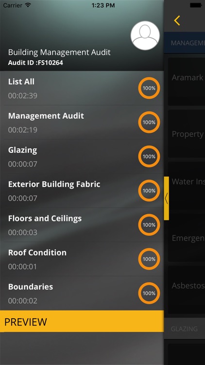 eAudit screenshot-3
