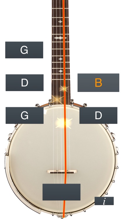 Banjo Tuner Simple screenshot-4
