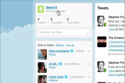 How To Use Twitter screenshot 4