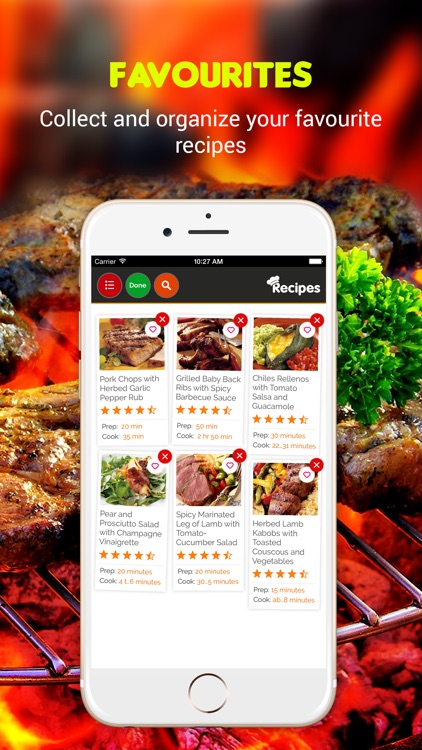 Yummy Grill Recipes screenshot-3