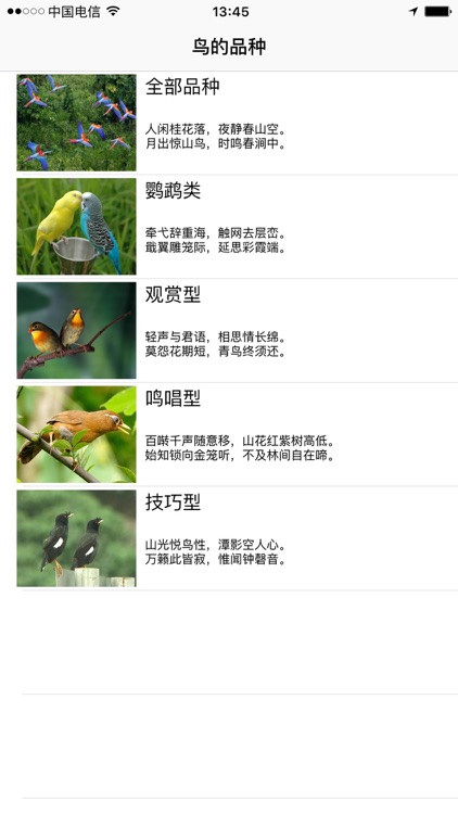 宠鸟大全by Lili Ma