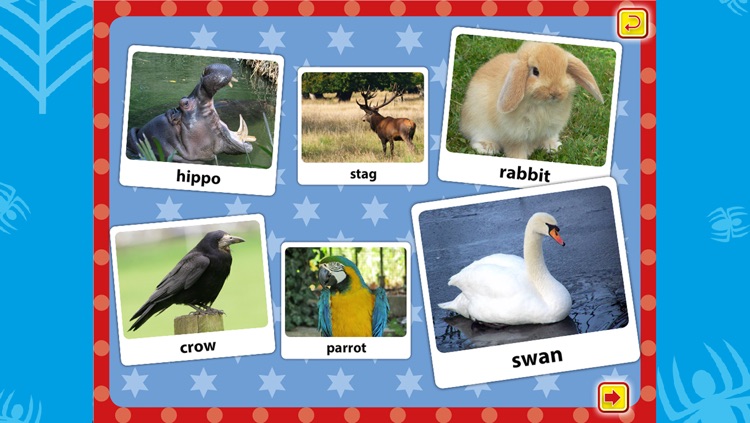 Picture Book Animals