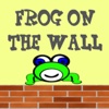 Frog On The Wall