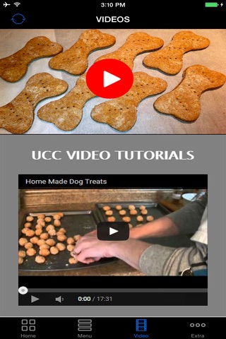 Best Homemade Natural Dog Foods & Organic Treats Recipes Guide To Save Money & More Healthy! screenshot 3