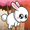 Rabbit Run: Sakura Forest