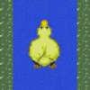 Paddle Duck - By MG Productions