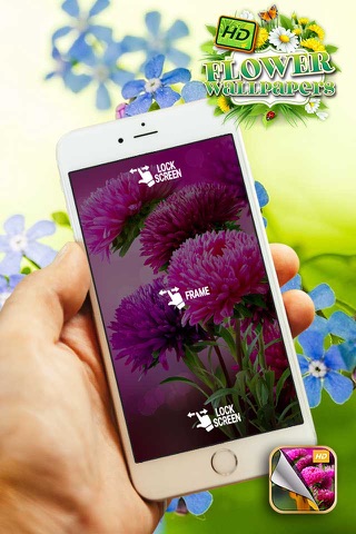 HD Flower Wallpaper.s – Beautiful Floral Themes and Custom Lock Sreen Background.s screenshot 4