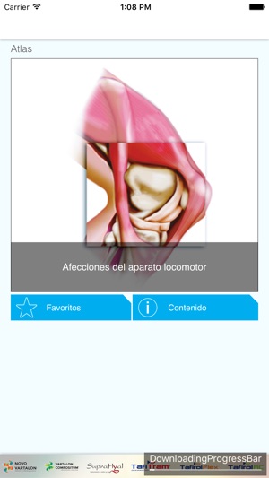 Mini Atlas Musculo Esquelético(圖3)-速報App