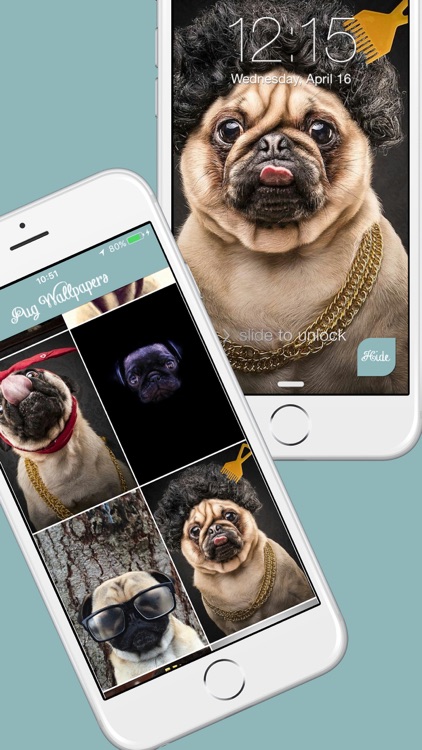 Pug Life HD - PawPapers screenshot-4