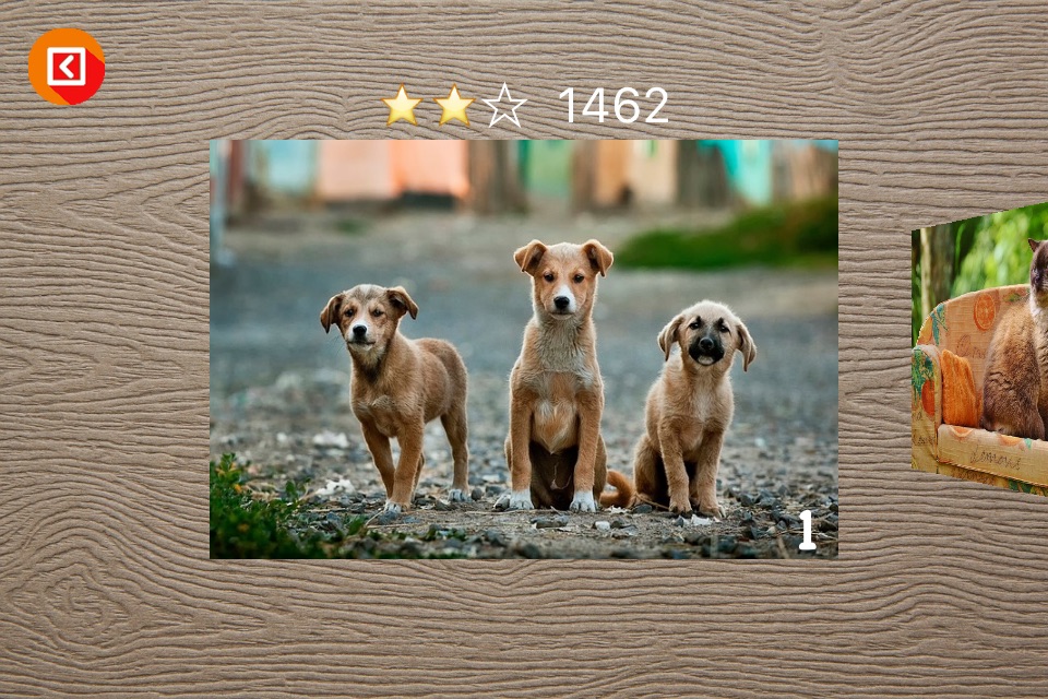 Puzzle Book screenshot 2