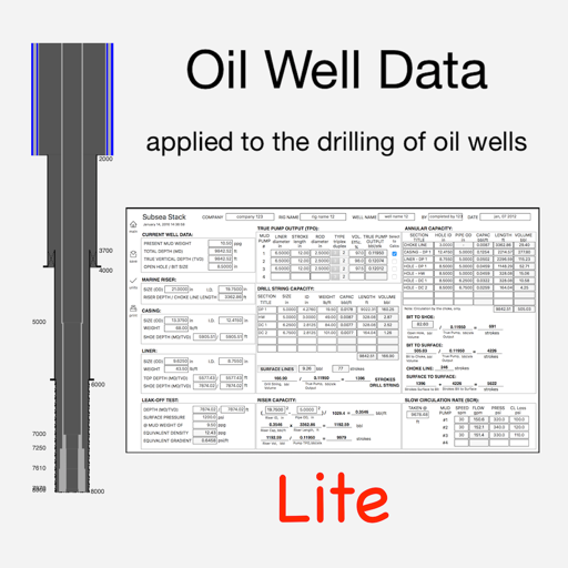 Oil Well Data Lite