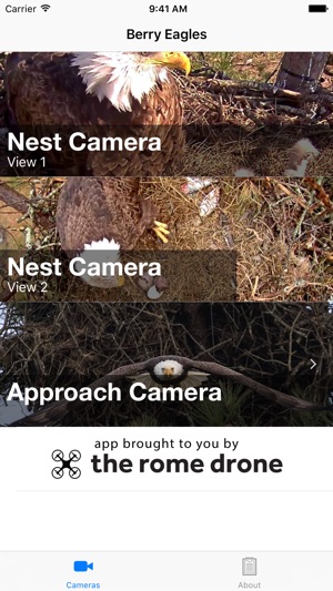 Berry College Eagle Cameras(圖1)-速報App