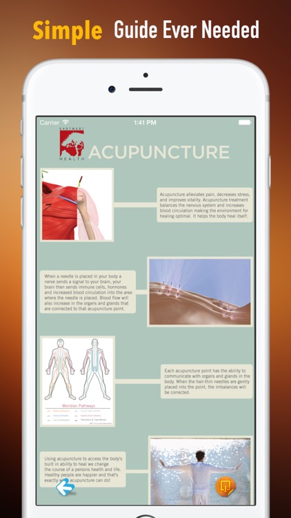 Acupuncture 101: Glossary and Tutorial