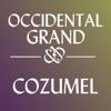 Occidental Grand Cozumel Resort