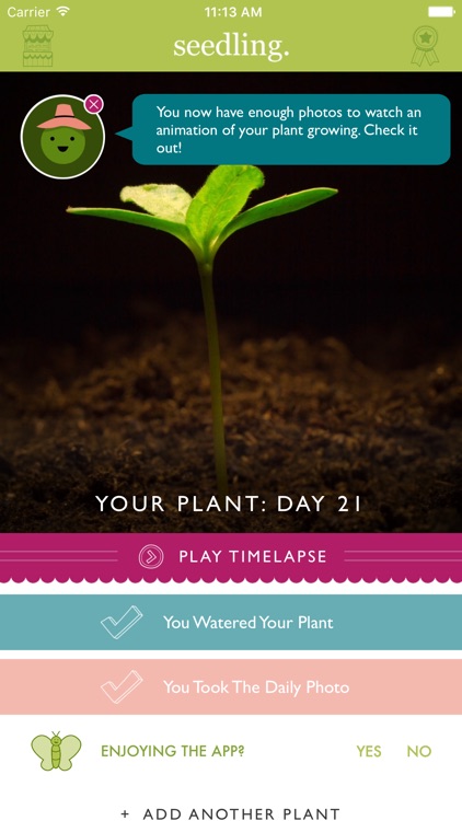 Seedling Grow screenshot-0