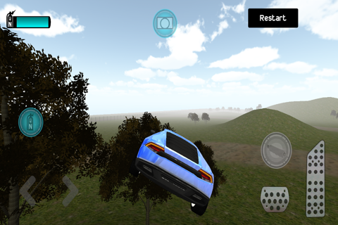 Country Drive Arena screenshot 2