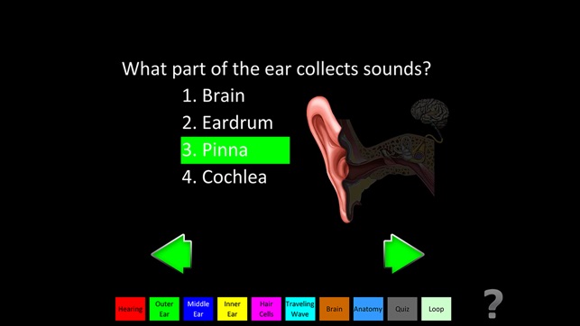 Hearing Anatomy(圖3)-速報App