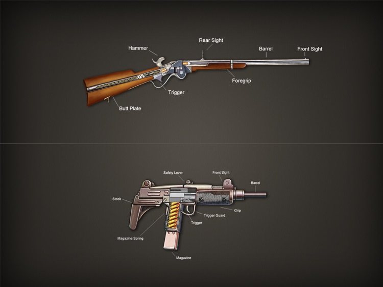 Gun Works Pro for Works, open gun, gun theory