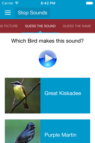 South American Birds Sounds screenshot 2