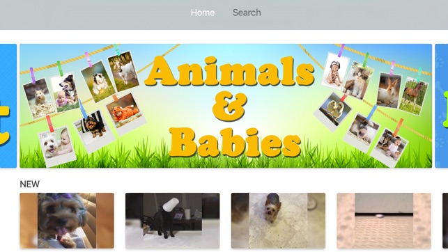 AFV animals(圖1)-速報App