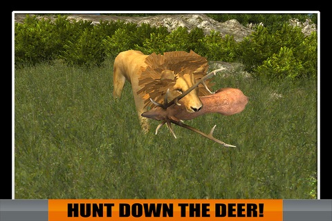 Wild Lion Attack On Deer Chase - 3D Animal Safari Hunt Simulator screenshot 4