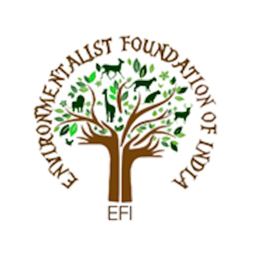 EFI Volunteer icon