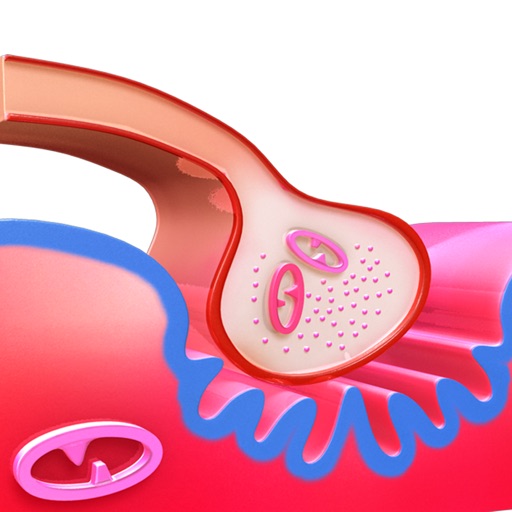 Neuromuscular Junction 3D by Trendyworks Technologies Pvt. Ltd