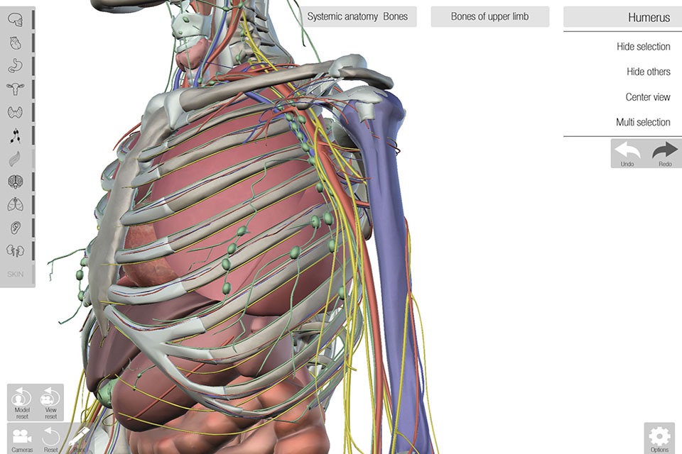 Human Anatomed screenshot 3