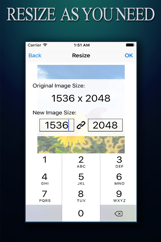 Image Resizer ADVANCED - Photo Resize Editor To Reshape pictures and Photos screenshot 3
