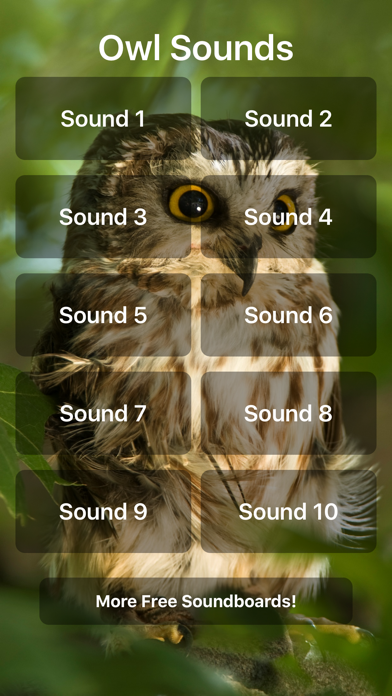 How to cancel & delete Owl Sounds from iphone & ipad 1