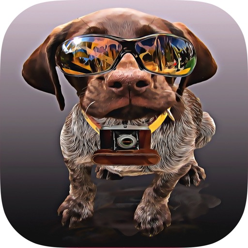 Dogs Quiz - Guess The Hidden Object that What’s Breeds of Dog? Icon