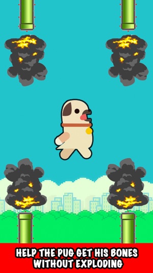 Go Flappy Pug