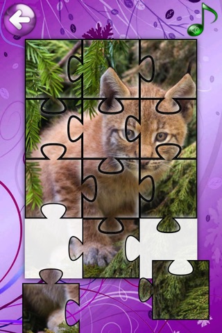 Red Panda Puzzles Jigsaws Games with Wild Animals in the Zoo HD screenshot 4
