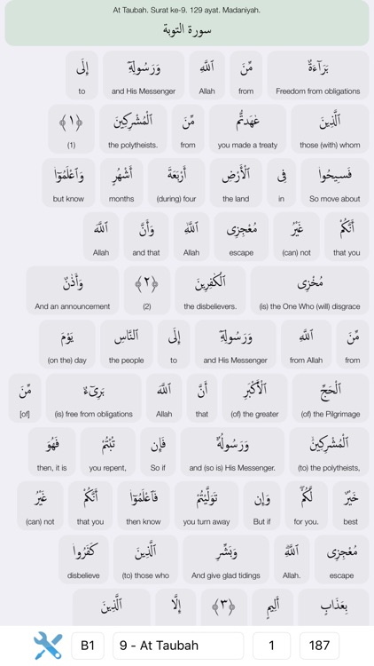 Quran Word by Word screenshot-0