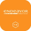 Endeavor VII