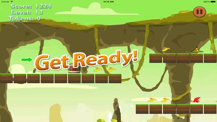 Temple Monkey - Runs In The Monkey Temple screenshot-3