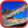 Crocodile Hunting Challenge : Deep water Alligator Attack Simulator