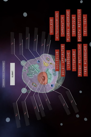 Eukaryotic Cell Structure screenshot 3