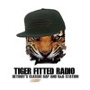 Tiger Fitted Radio 1