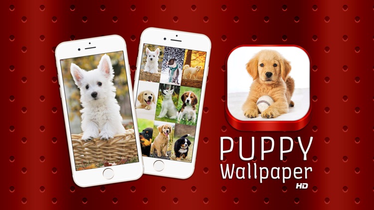 Puppy Wallpaper HD Free - Cute Dog Puppies Background.s For Adorable Screen