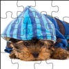 Cute Puppy Jigsaw Quest - Pet Puzzle Game for Kids &amp; Girly Girl Princess
