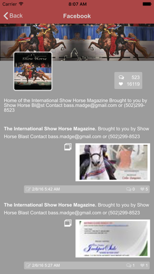 Show Horse(圖4)-速報App